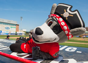 Erie Seawolves Mascot C-Wolf