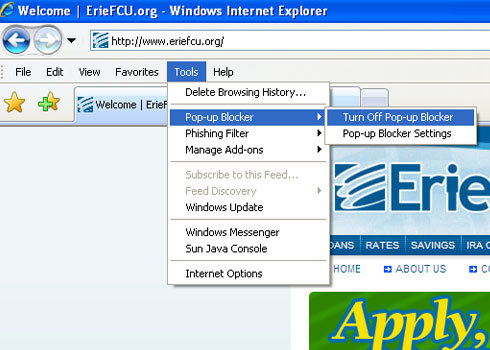 Internet Explorer Browser Image